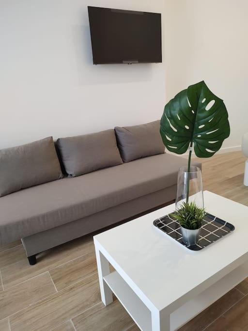 Nuevo Loft En Playa Y Cerca Del Centro, Ac Y Wifi Valência Exterior foto